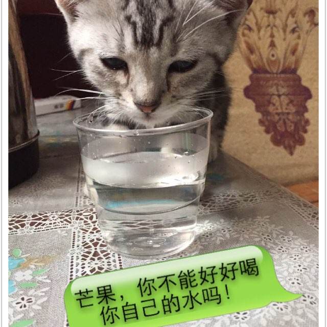 長岡大学学士毕业证